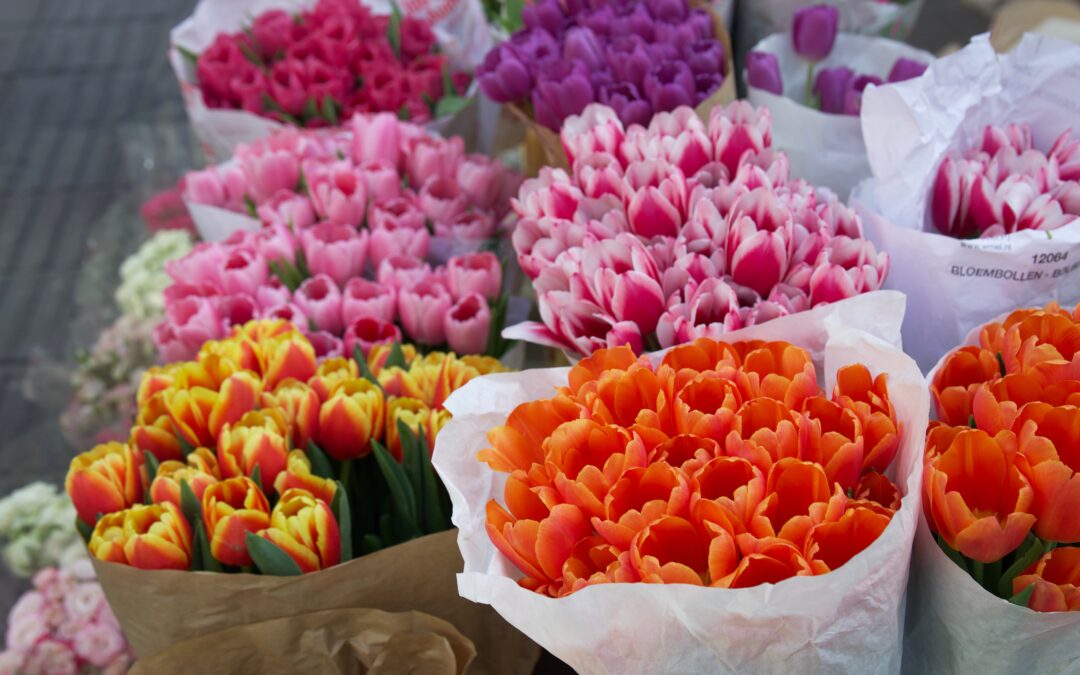 Flore Passion à Cannes : un week-end au cœur des fleurs et du jardinage