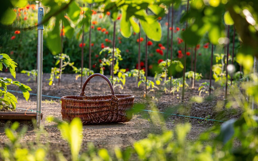 Les 48h de l’agriculture urbaine investissent le territoire varois