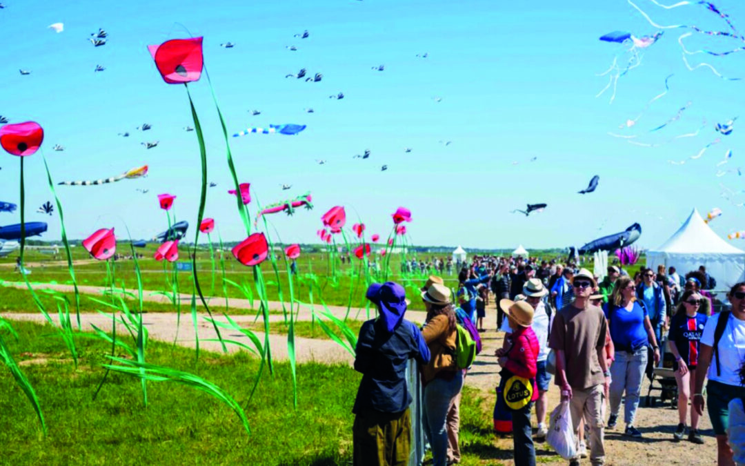 La Base 217 : les Cœurs-Volants