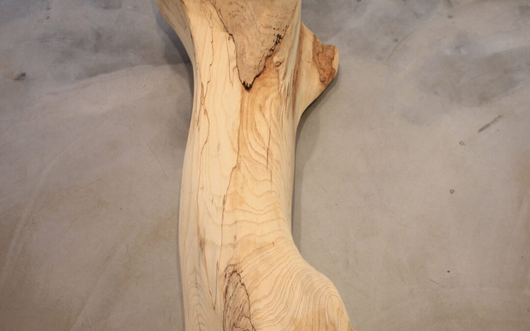 Récits de forêts de Lélia Demoisy au Domaine de Chamarande