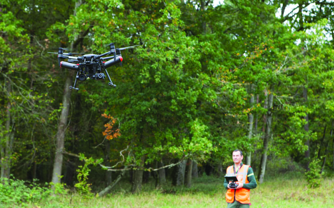 Préfecture : drones en forêt de Fontainebleau