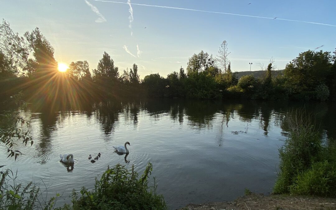 Le pari du Plan Seine en Yvelines