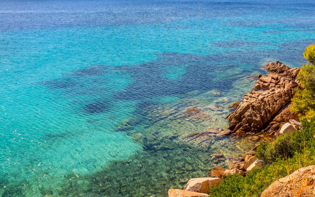 La Métropole TPM surveille la qualité des eaux de baignade tout l&rsquo;été