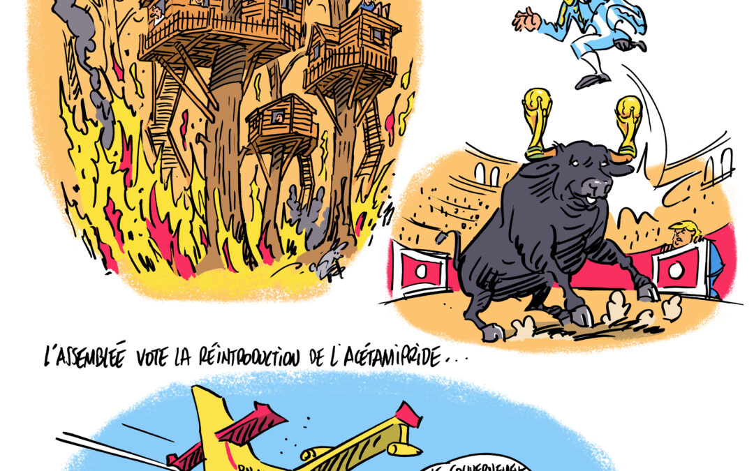 Forêt – Coupe du monde – Acétamipride