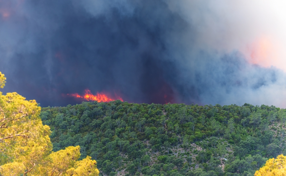 La Région Sud renforce ses moyens face aux incendies de l&rsquo;été