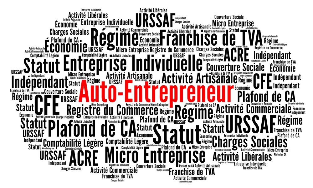 Micro-entrepreneurs immatriculés en 2018, 28 % encore actifs après cinq ans
