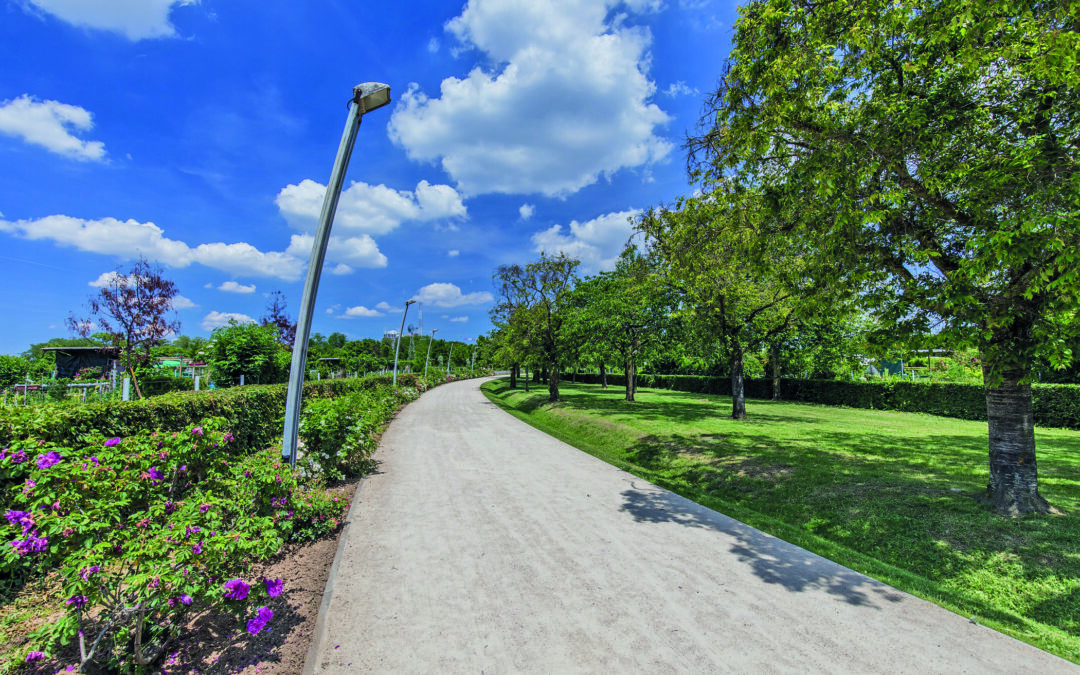 Parc des Hautes-Bruyères : nouvel éclairage