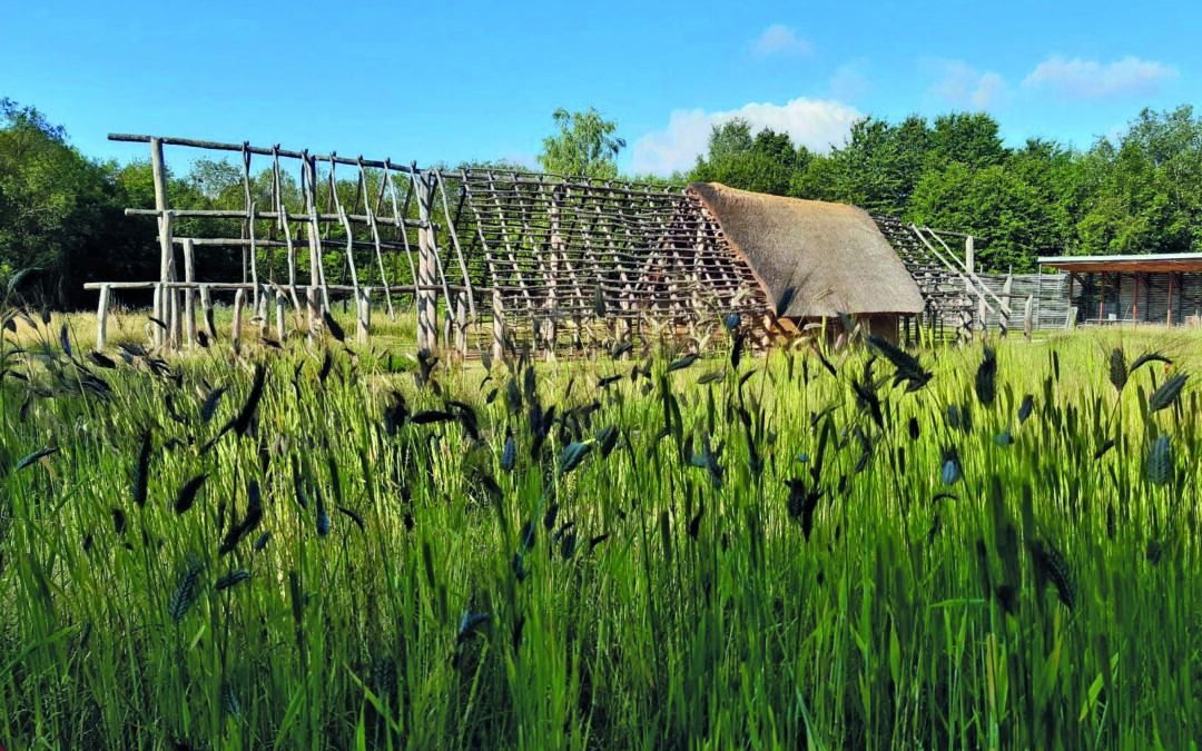 Neuilly-sur-Marne : archéologie grandeur nature