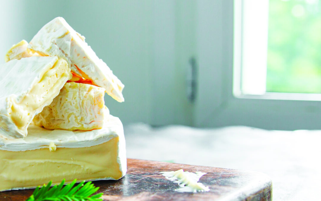 Pays de Brie : Coulommiers fête son brie
