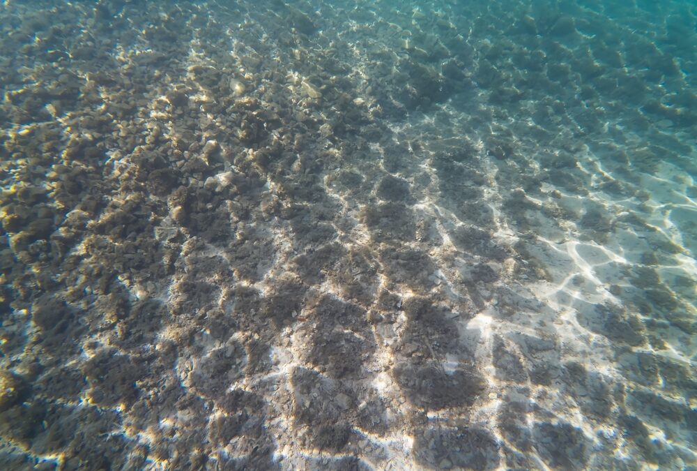 Les scories des calanques en dépollution