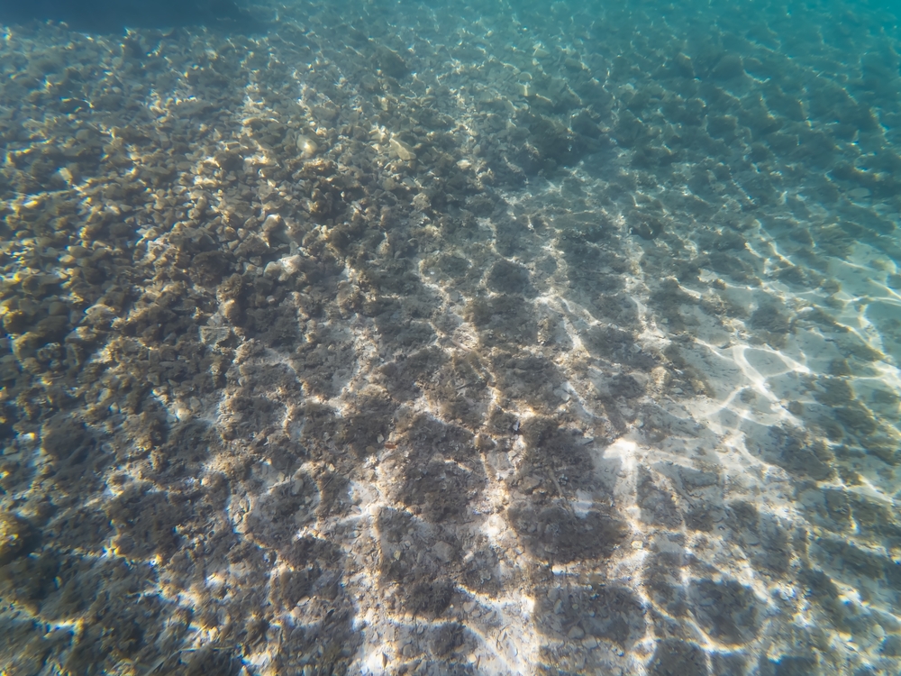 Sunlight,Patterns,Ripple,Across,The,Rocky,And,Sandy,Seabed,In