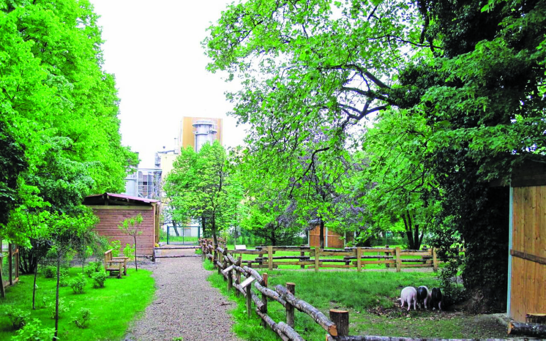 Maisons-Alfort : l’automne à la Ferme