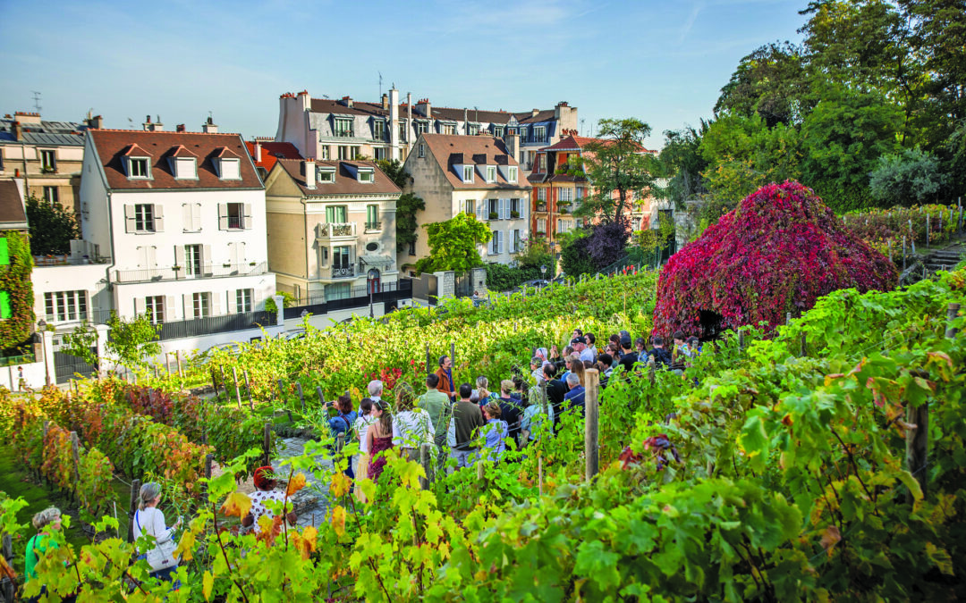 Montmartre : fête des Vendanges