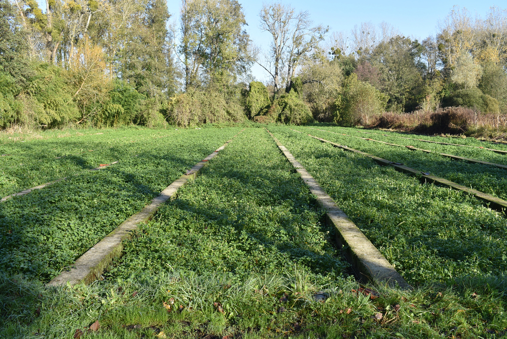 Feux de forêt : restrictions prolongées en Essonne