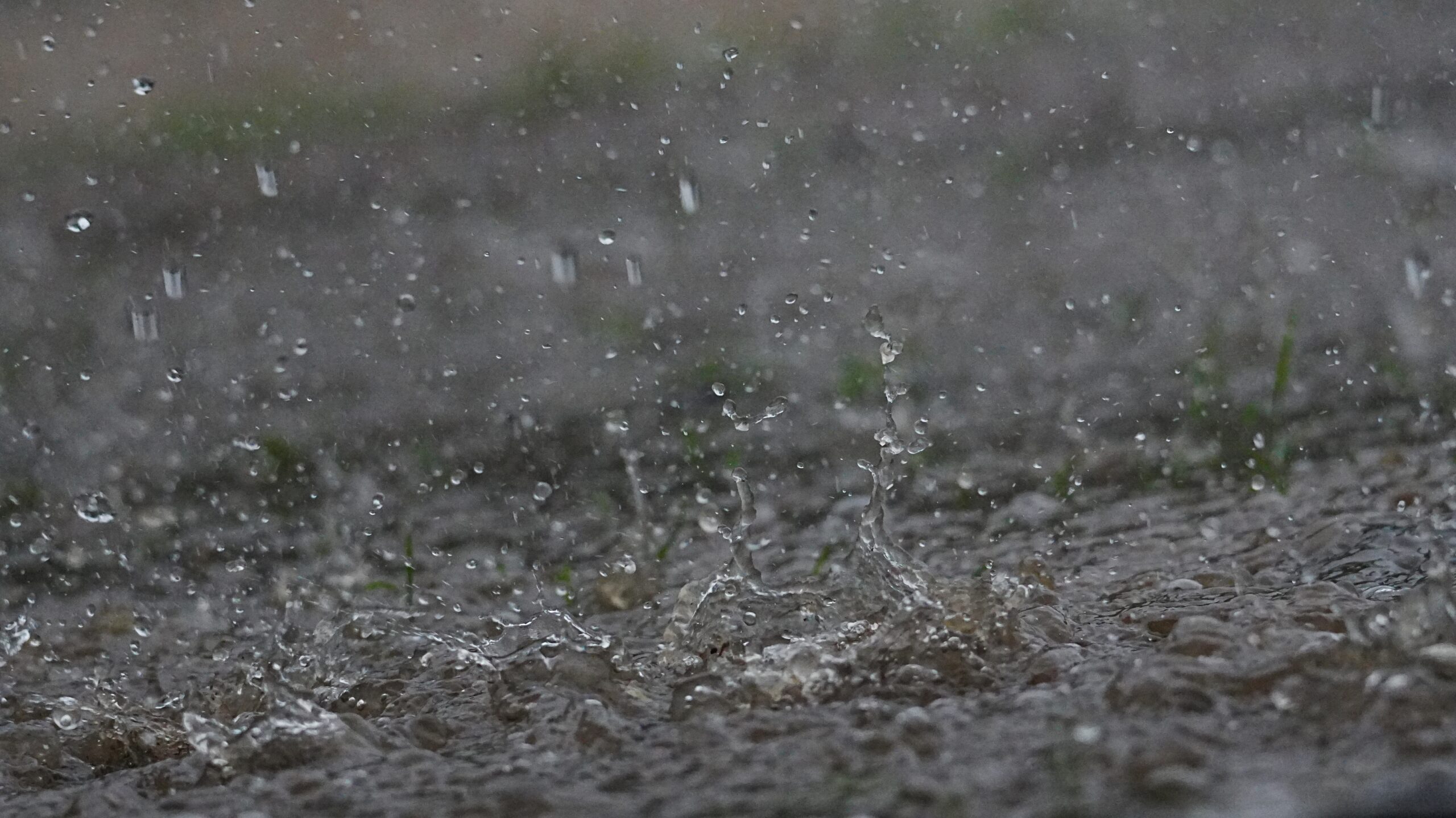 Photography,Rainwater,That,Falls,On,Land,.,Rain,Drops,Photography. Pluie battante au sol, phénomène suivi par les cartes de vigilance
