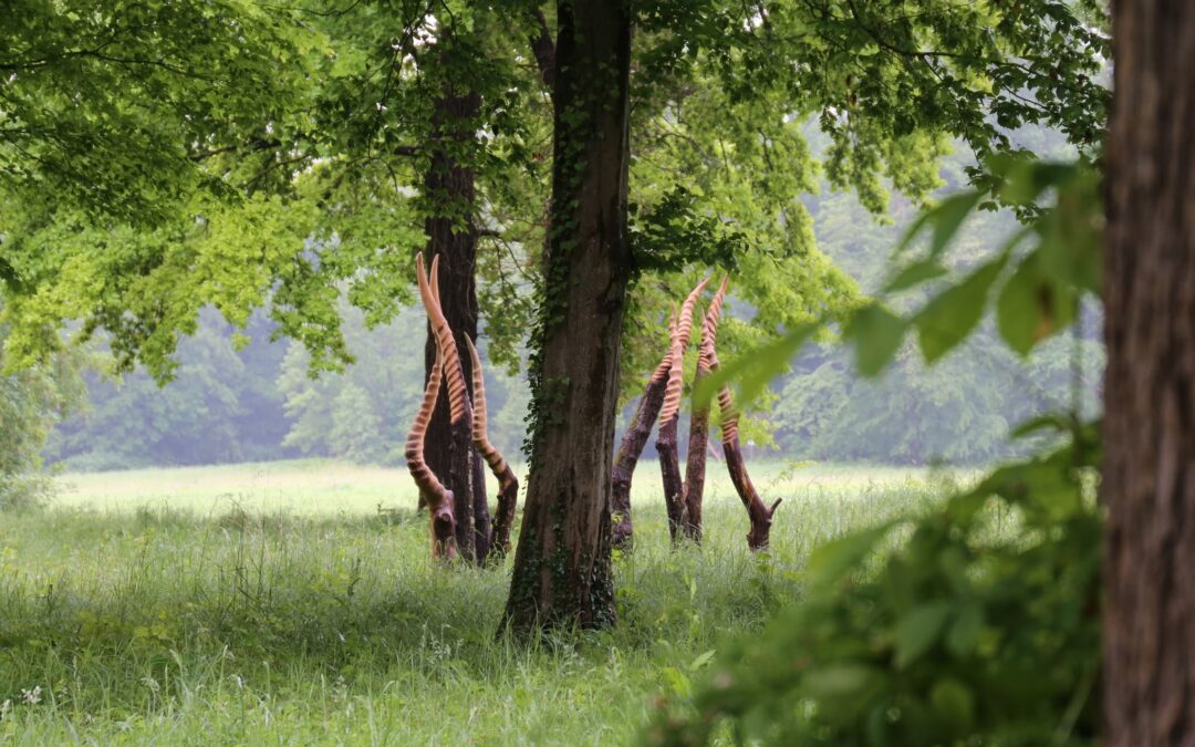 À Chamarande, la forêt en récits jusqu’au 30 août