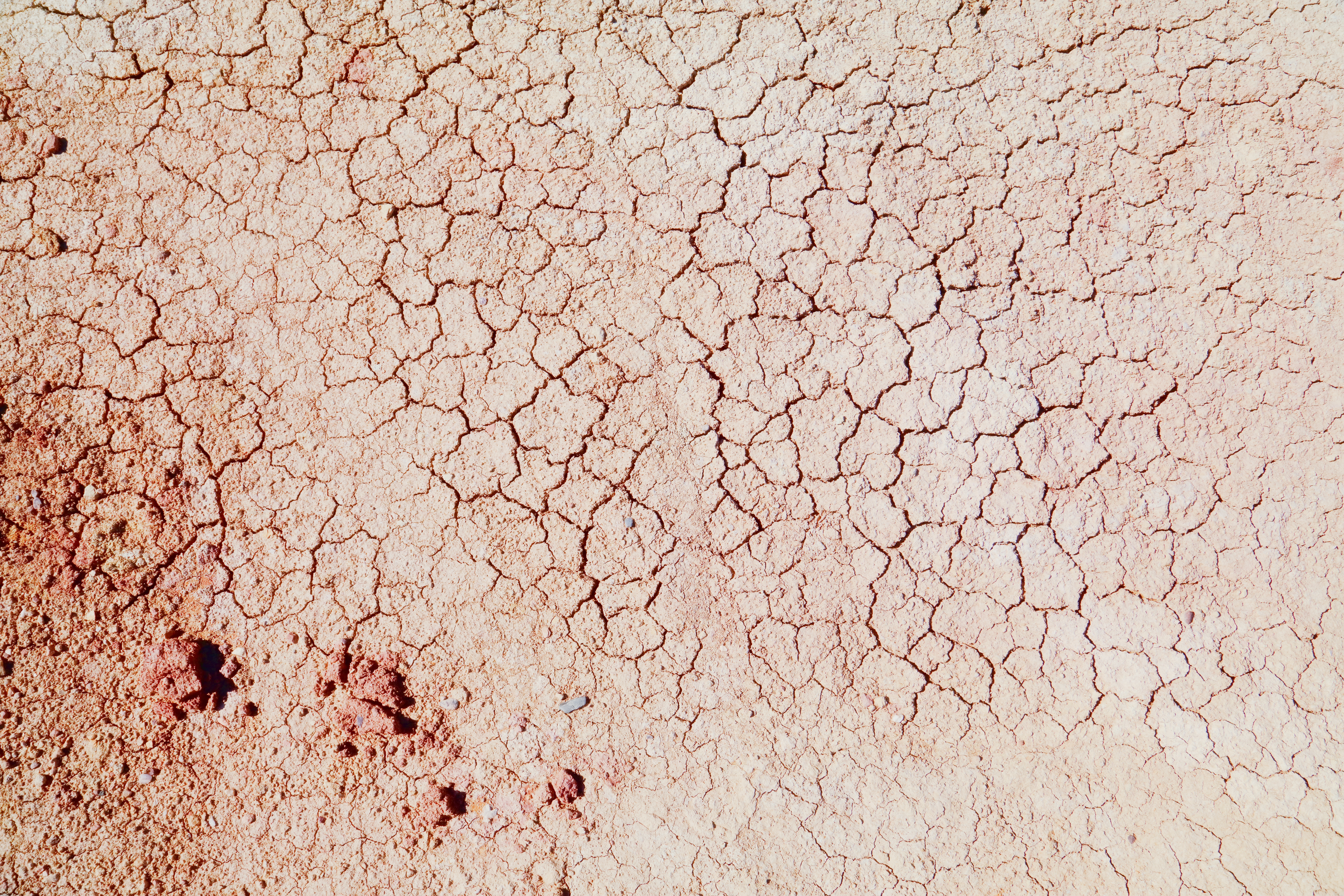 Dried,Mud,Surface,-,Dry,Riverbed,Earth,Texture.,Drought,In Terre agricole craquelée par la sécheresse, symbole du fonds de réarmement agricole