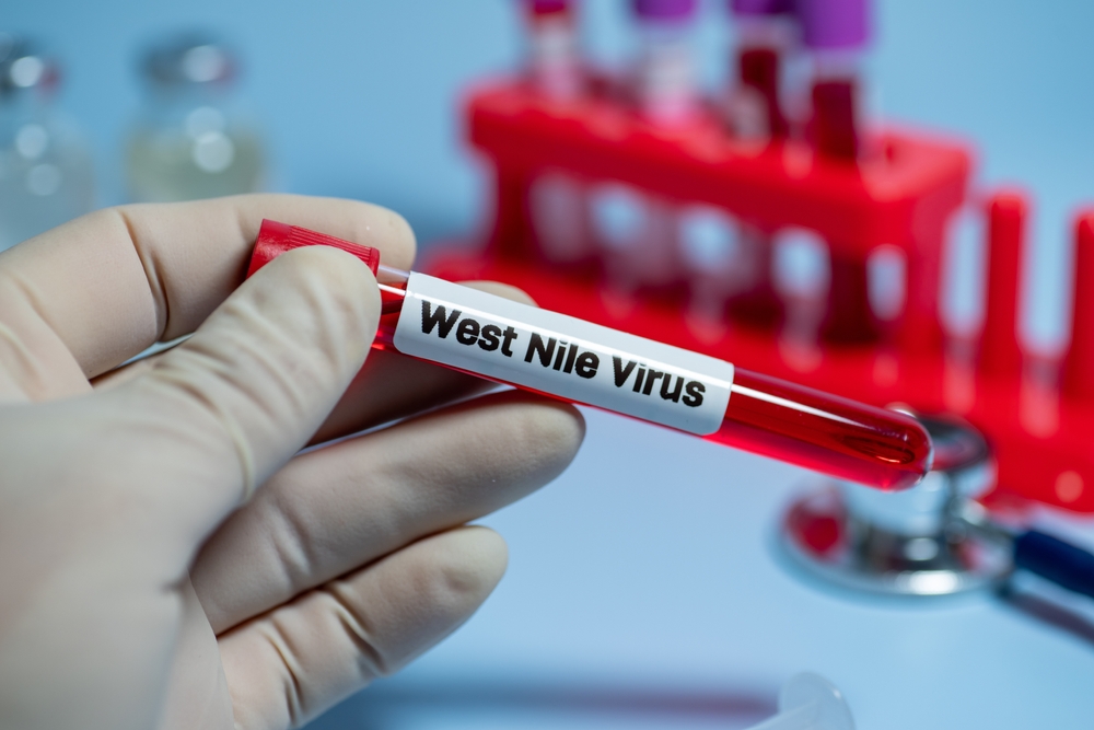 Le virus West Nile sous surveillance dans l’Essonne