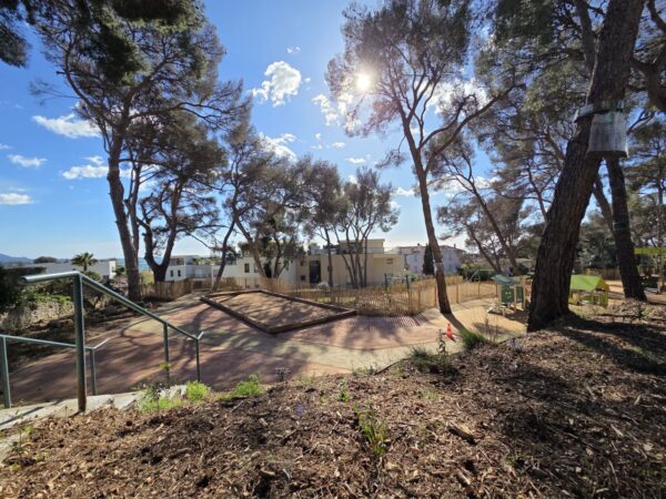 Parc aux Étoiles, allée ensoleillée sous les pins avec jeux