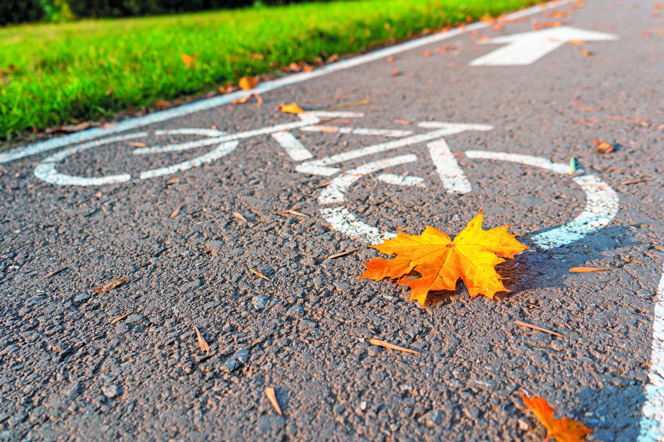 Marquage vélo sur la voie verte aux feuilles d'automne