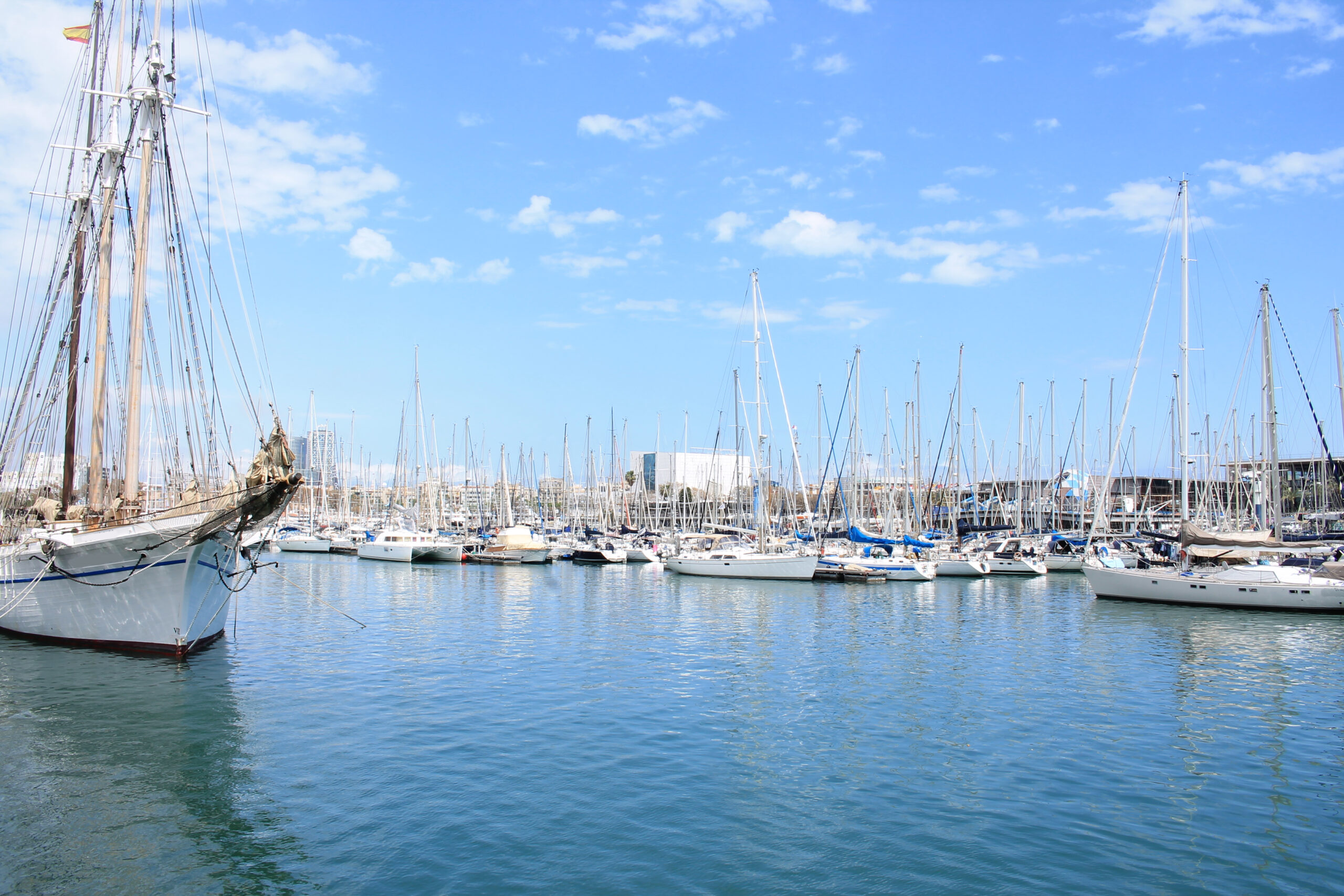 Voiliers amarrés aux pontons d'un port de plaisance en Darse Nord